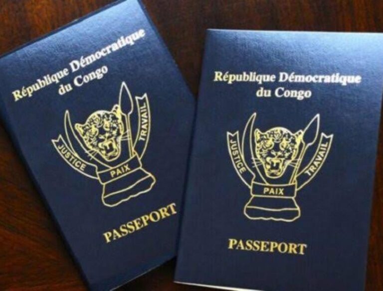 RDC-inaccessibilité au passeport : Christophe Lutundula demande aux Congolais de comprendre et de tolérer le gouvernement