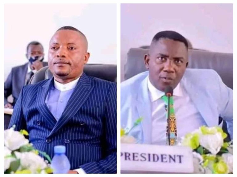 Assemblée provinciale de Kinshasa : Godé Mpoyi et Papy Epiana destitués !