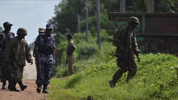 Ouganda : des touristes étrangers tués dans une nouvelle attaque terroriste dans le parc Queen Elizabeth, Kampala pointe du doigt les ADF actifs en RDC