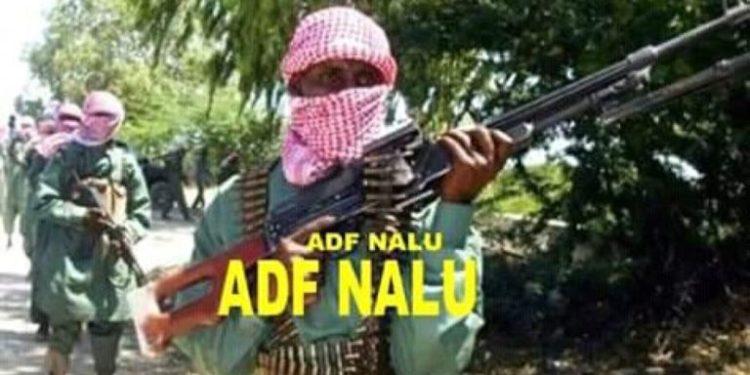 Beni : L’armée neutralise un médecin rwandais, soignant de Musa Baluku, no 1 des terroristes ADF