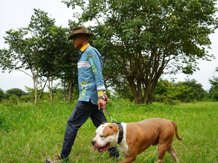 En RDC, l’élevage d’une catégorie de chiens par les Congolais inquiète Félix Tshisekedi