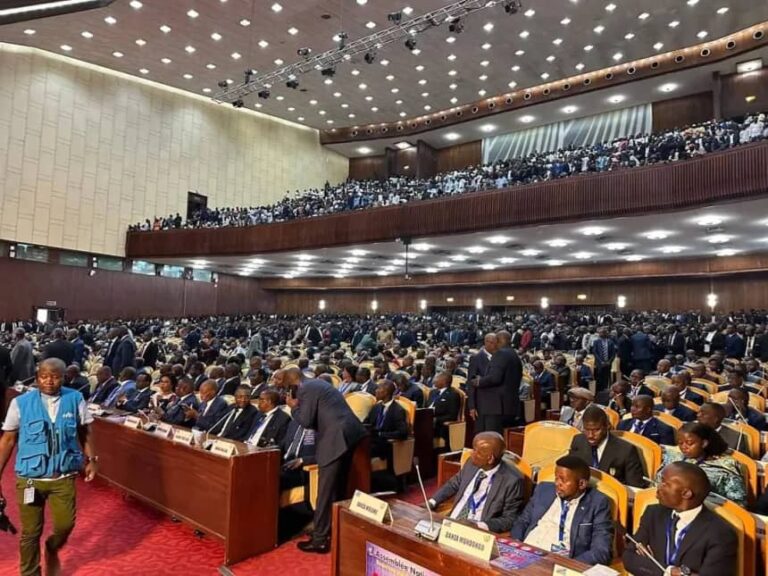En RDC, « l’Assemblée nationale tend à perdre son qualificatif de temple de la démocratie par la ruse des néo-mobutistes qui trônent à la tête de l’Union sacrée », tranche un Tshisekediste